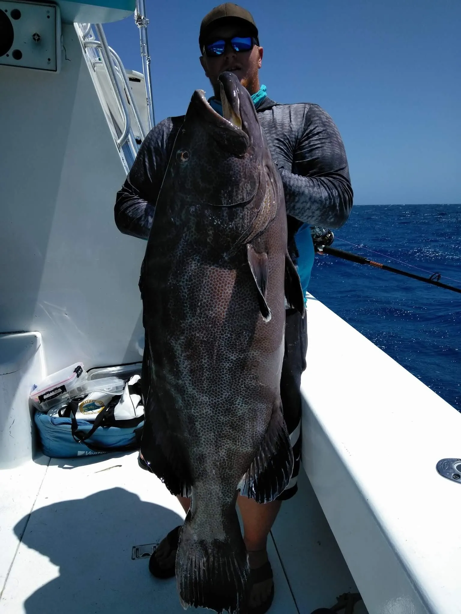 Angler holding up a big black grouper