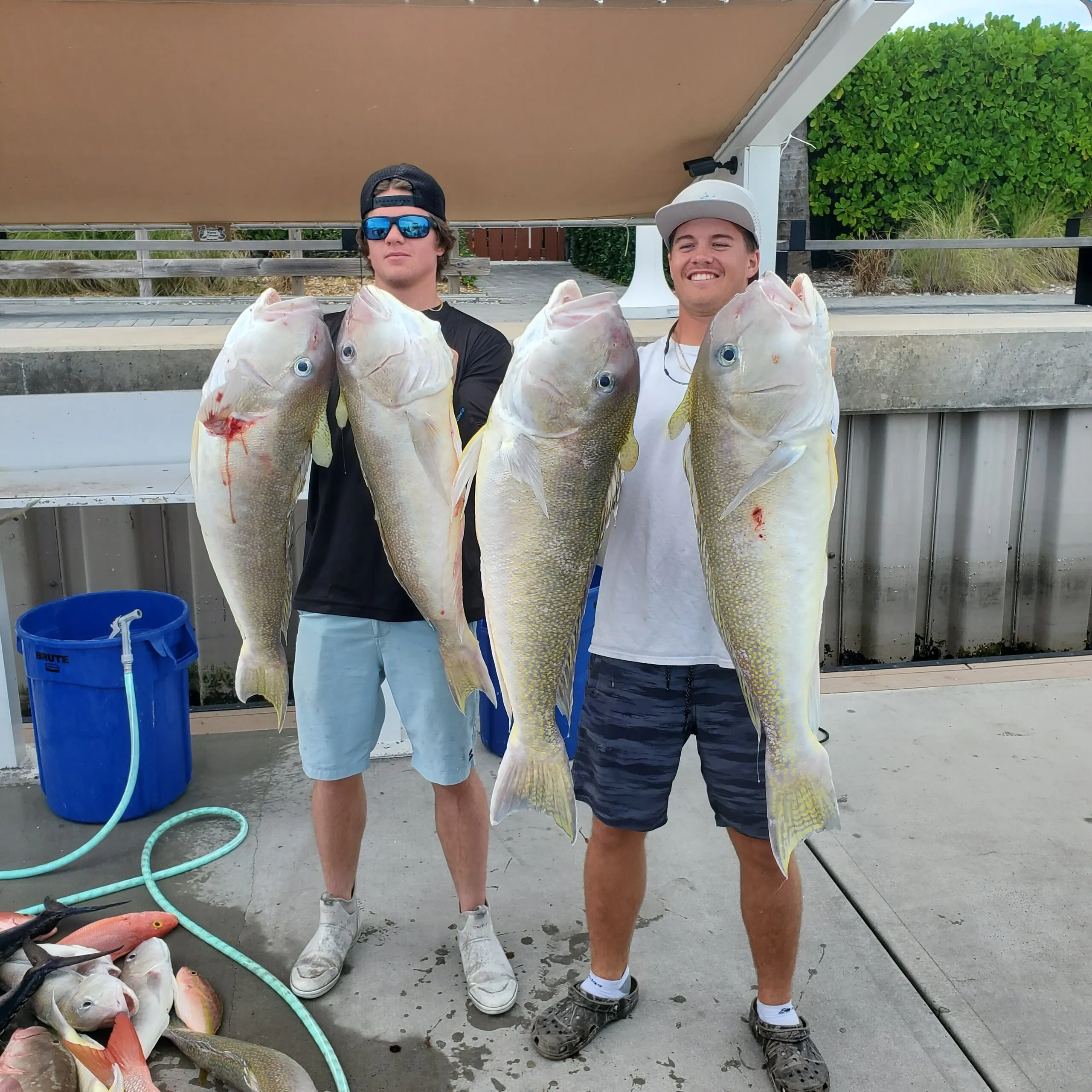 Anglers with four big fish at the dock