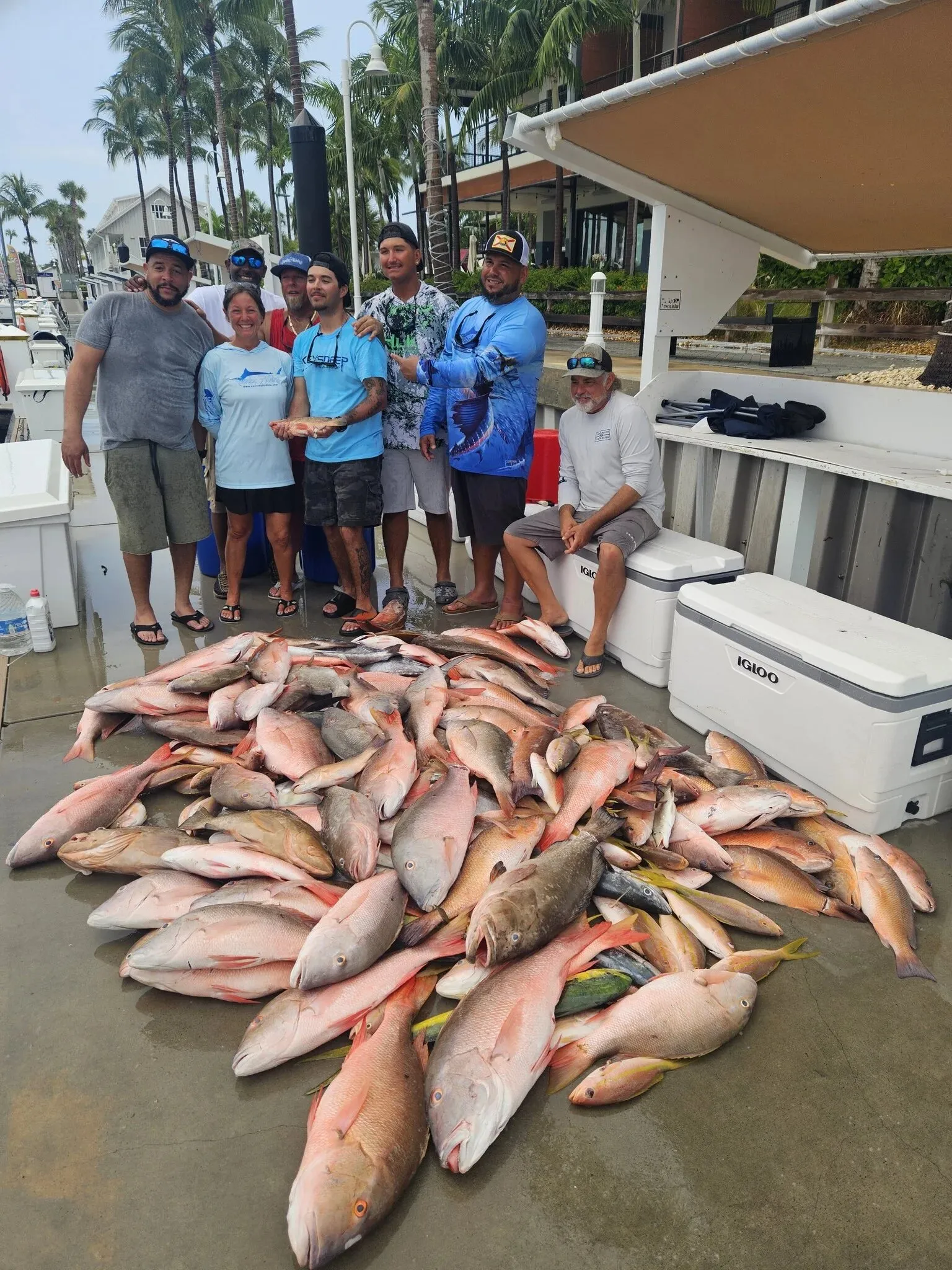 Catch laid out on the dock